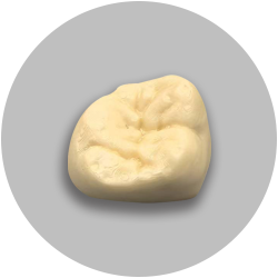  标准比色陶瓷渐变牙冠