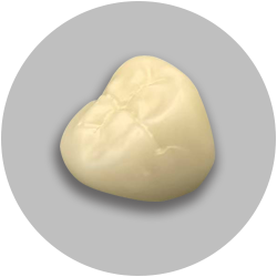  标准比色陶瓷渐变牙冠